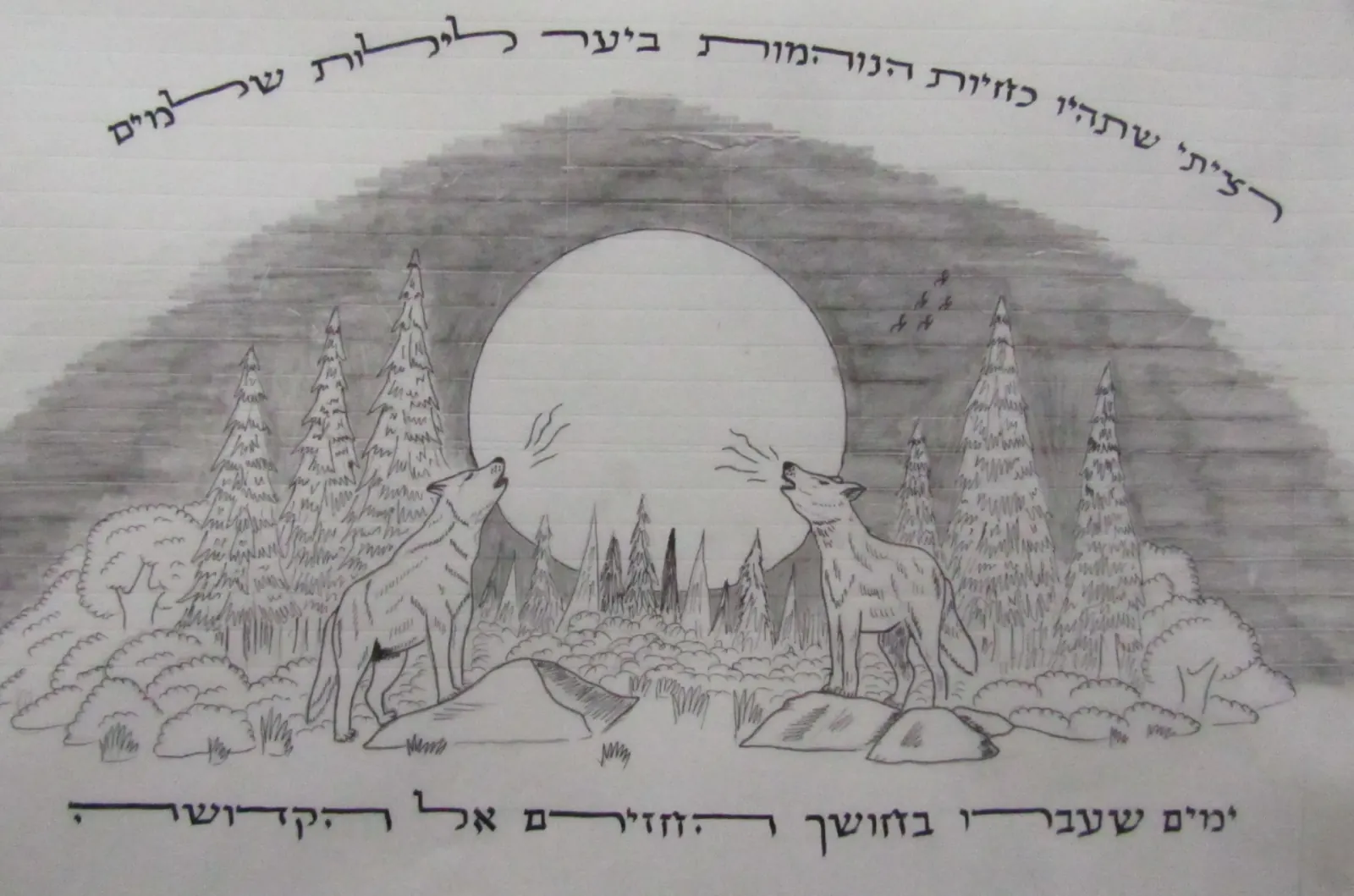 שירת הלילה - אור וקדושה