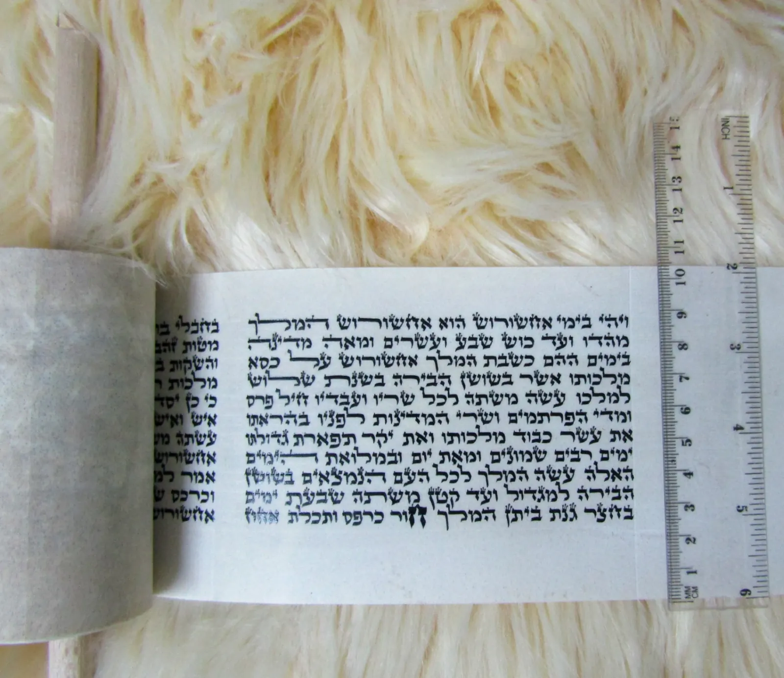 מגילת אסתר - מבט על הקלף