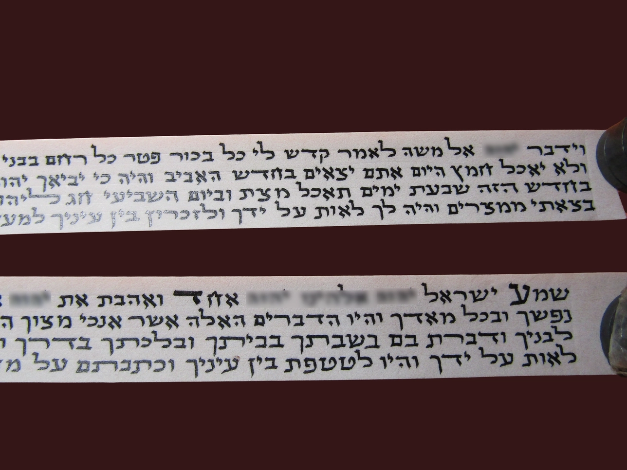 פרשיות תפילין - כתב סת״ם